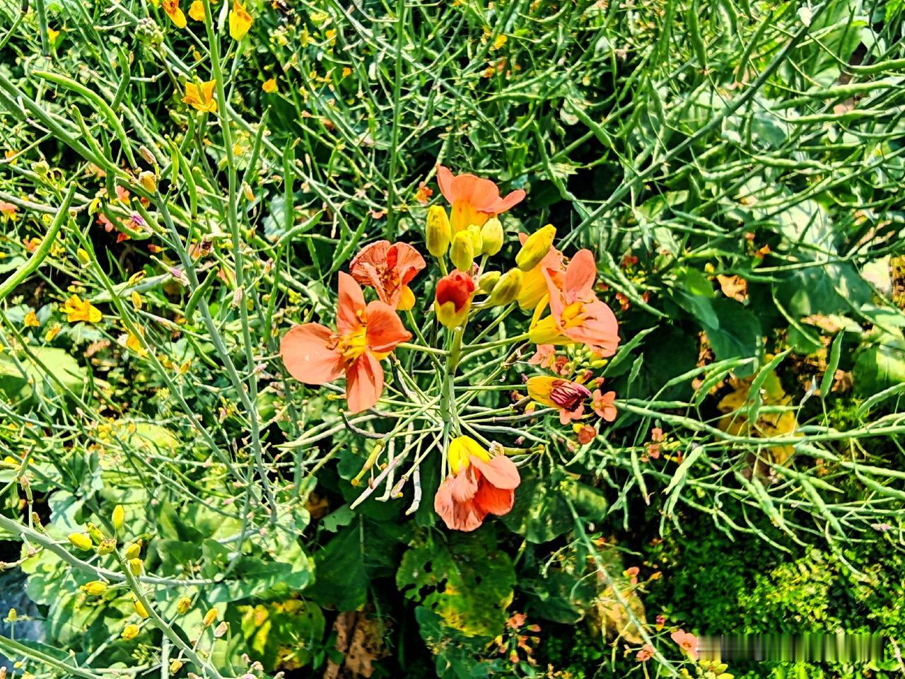 从今年1 - 2月社会消费品零售总额情况来看，广州、中山经济回暖态势明显，东莞稳