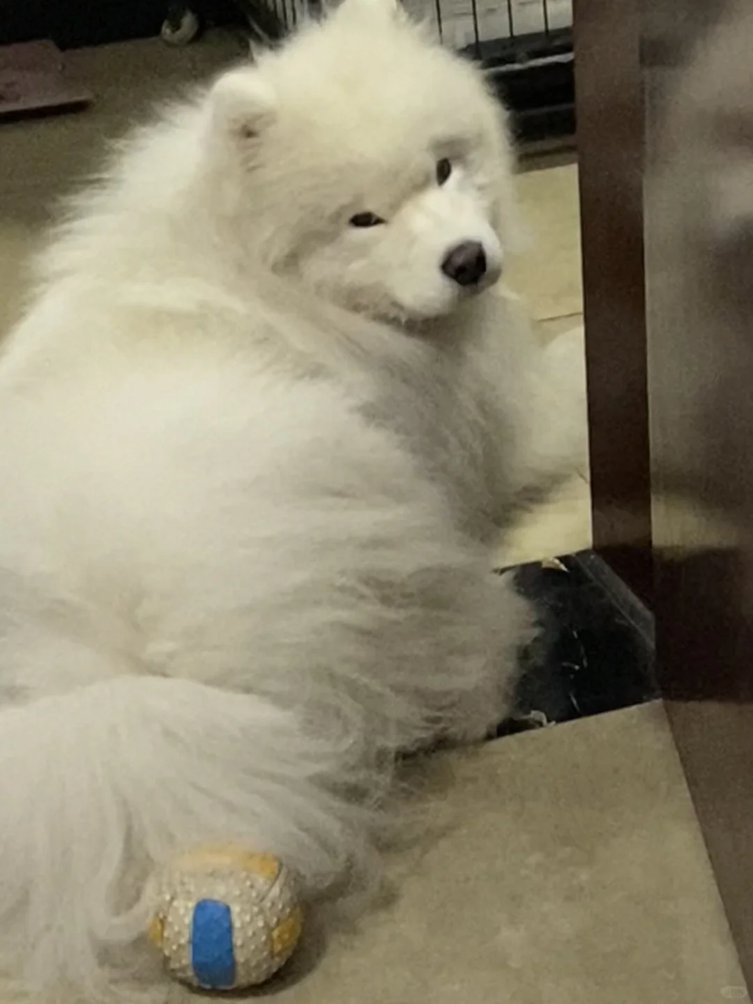 吃东西没分享给她 就这副表情