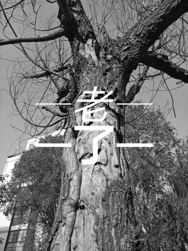 黄仁勋为何选中宇树合作 6月1日，两件大事同时发生：宇树科技科创板IPO过会，英