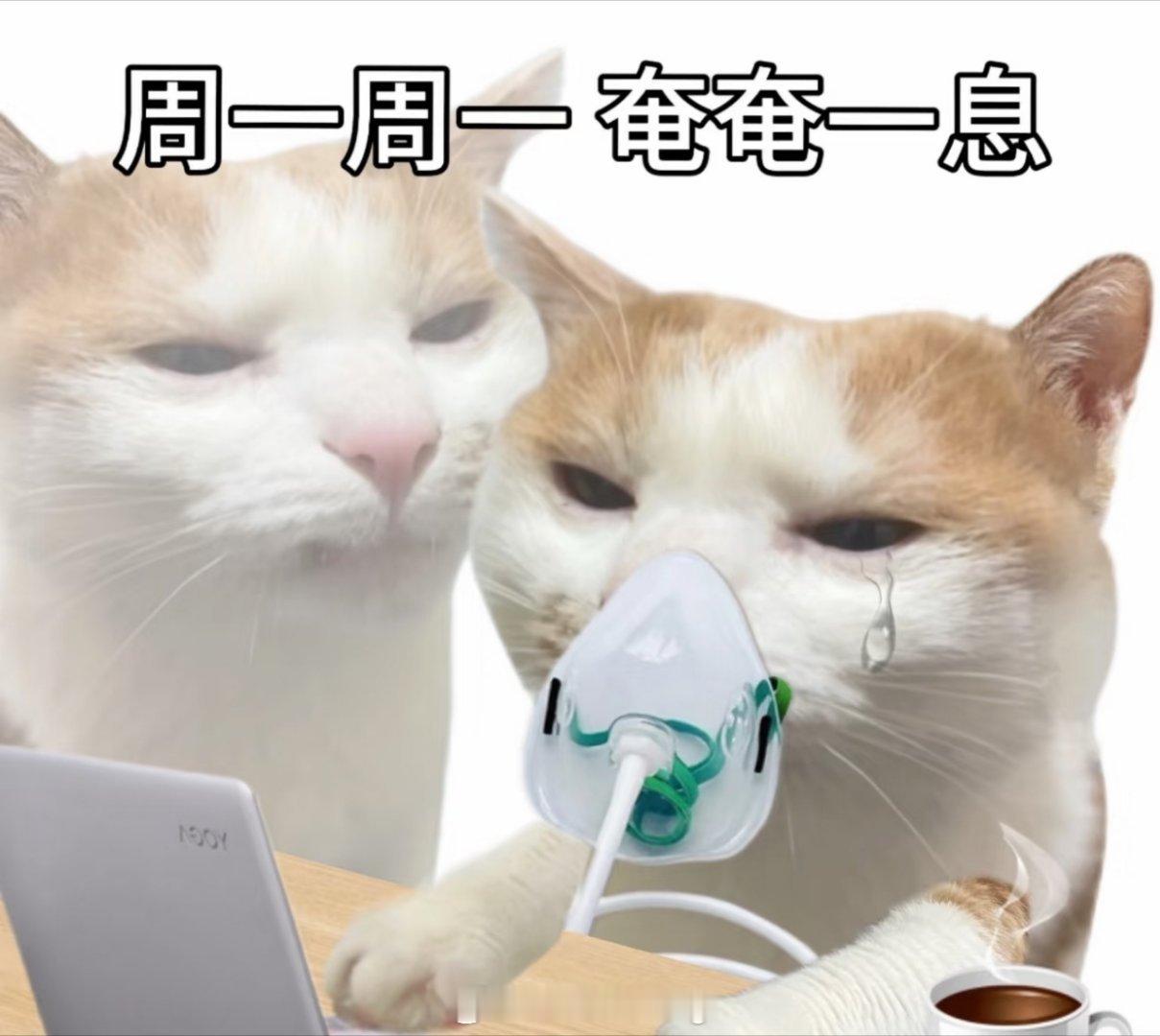 昨天不是上过班了吗，怎么今天还是周一 ​​​