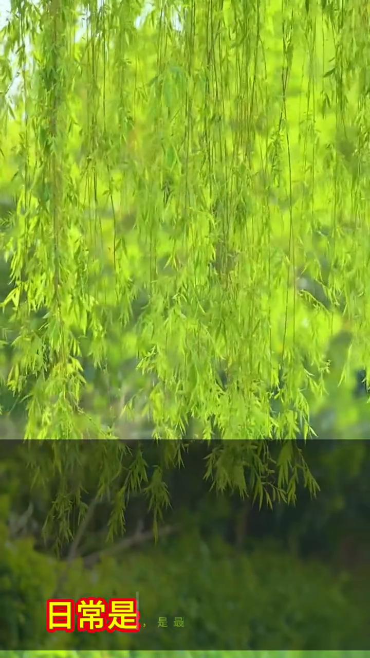 日常是最恒久的修行，伟大的意义往往藏在日复一日的琐碎里。认真吃饭，踏实走路，就是