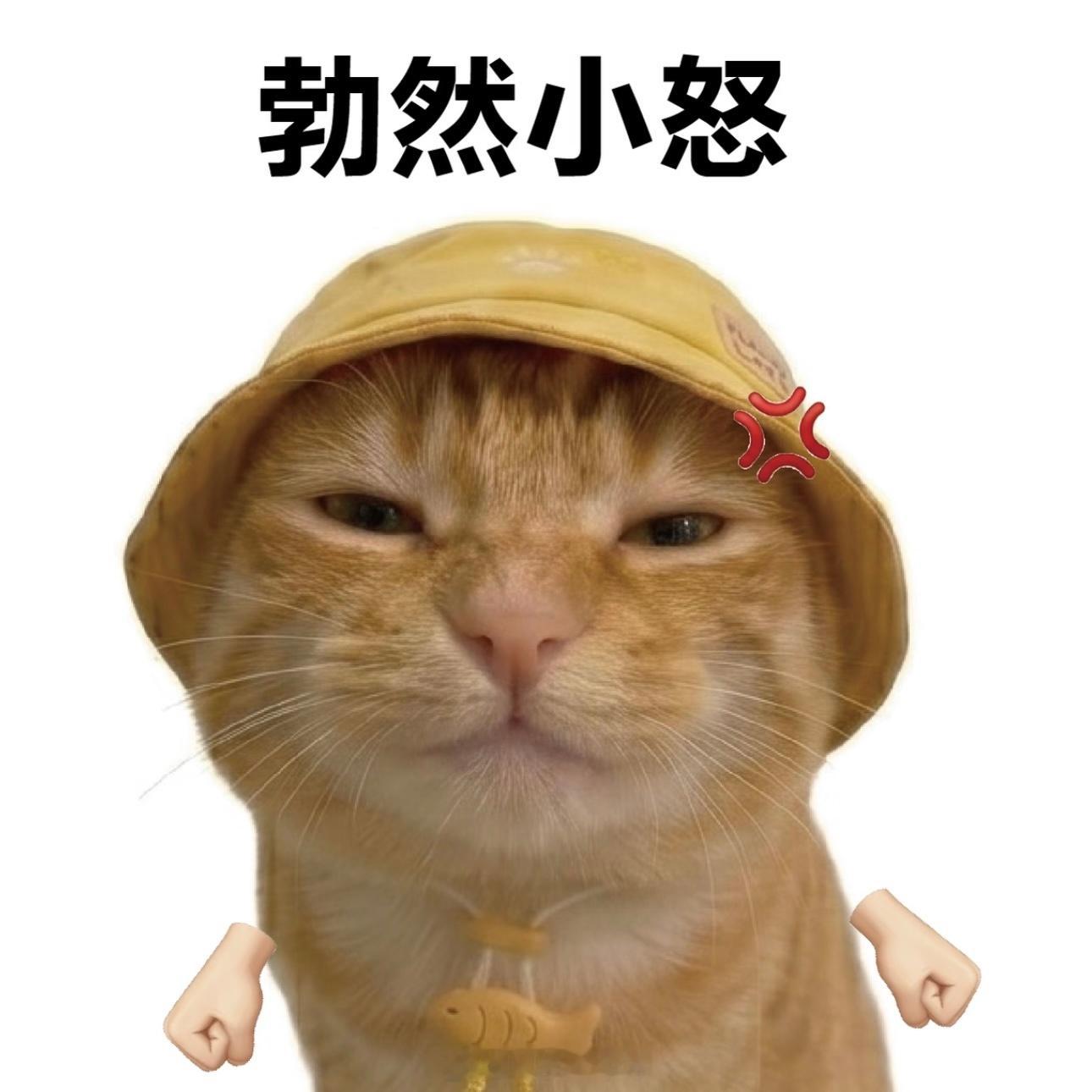 中午想给妞妞做炒饭呢看米饭不多了，不过感觉也够她一个人吃了一想，好像家里也没肠了