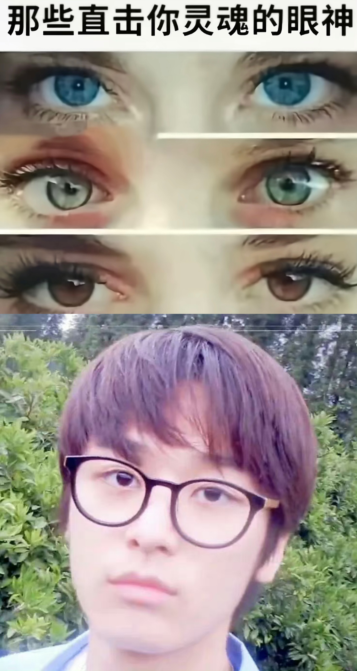 两个笨蛋在对视（不允许闭眼睛 