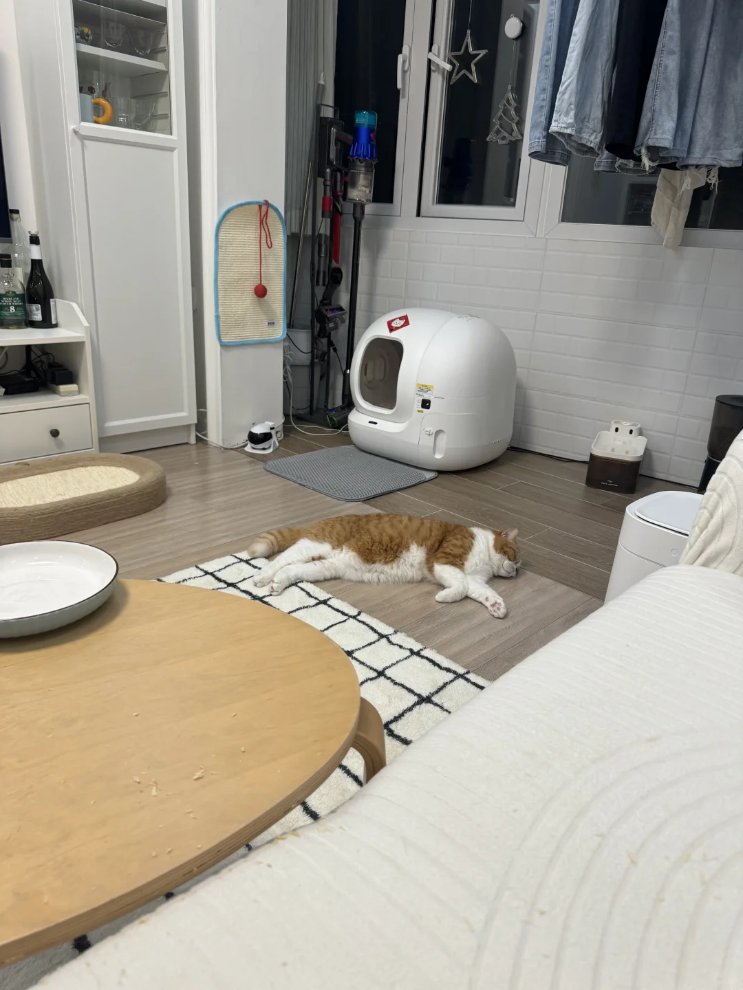 睡得跟噶了一样