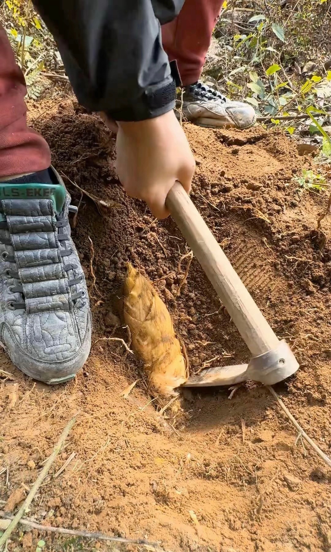 还是先给手做个截肢吧，不然以后不定闯多大祸呢？搞笑