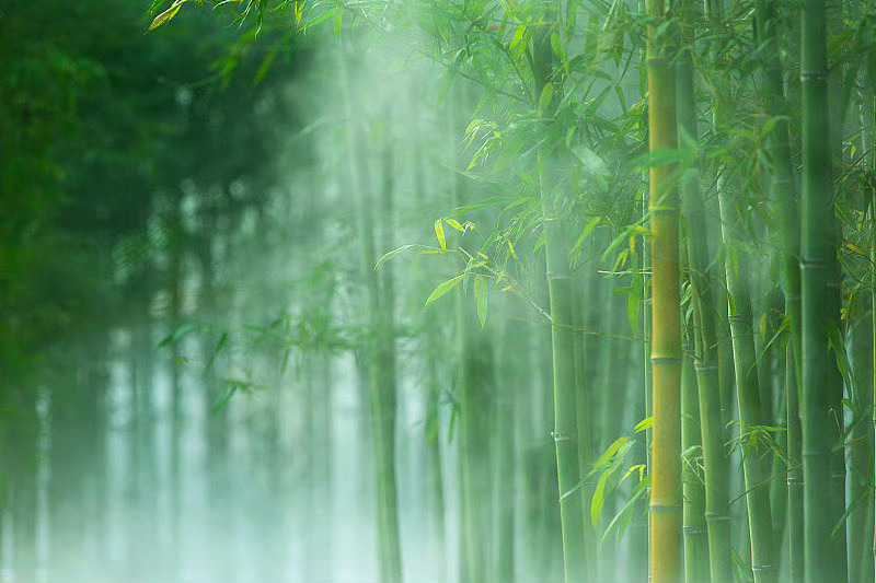 需要怎样的生活，从选择到创造，一切的功课全部决定在自己。早安。早安,新的一天