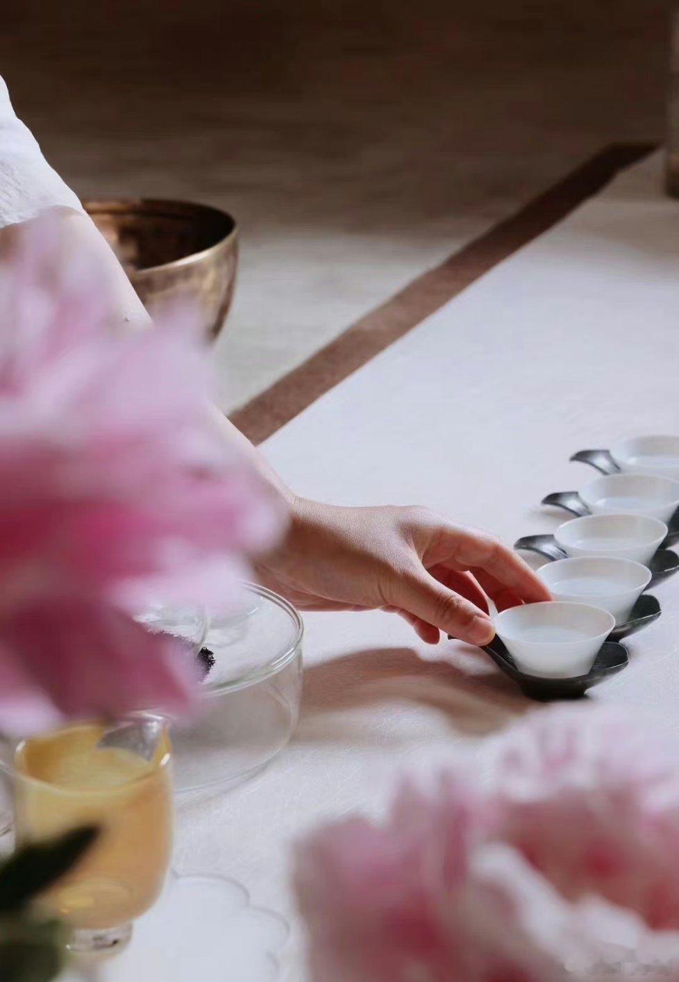 #寻美洛阳#东方草本旅修之洛阳寻根，人隨風過  ，自在花開又花落，人间纵有千般苦