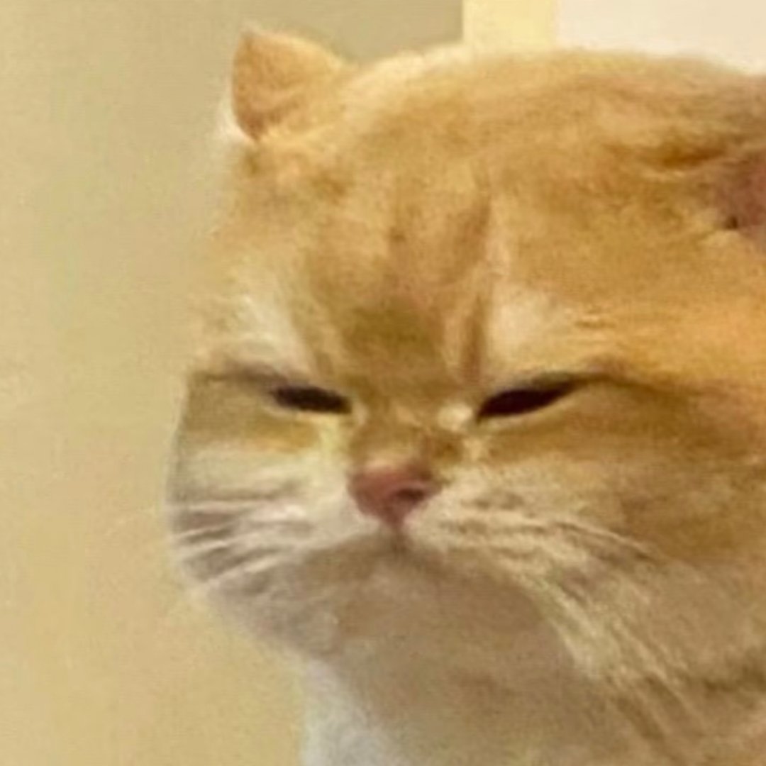 我怎么还在熬夜南部档案害我 