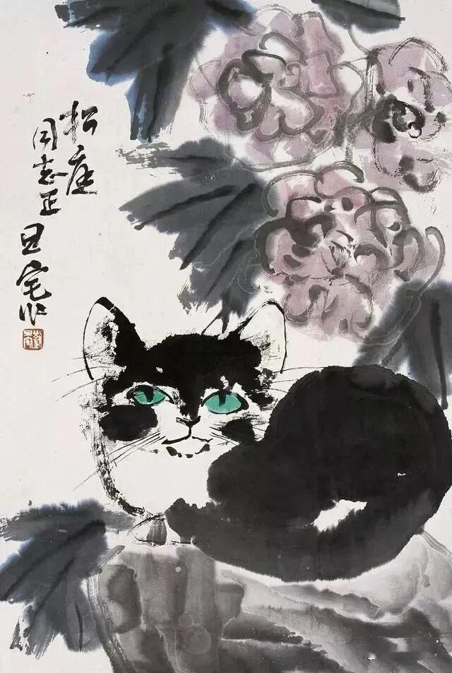 晒晒你镜头下的宝贝