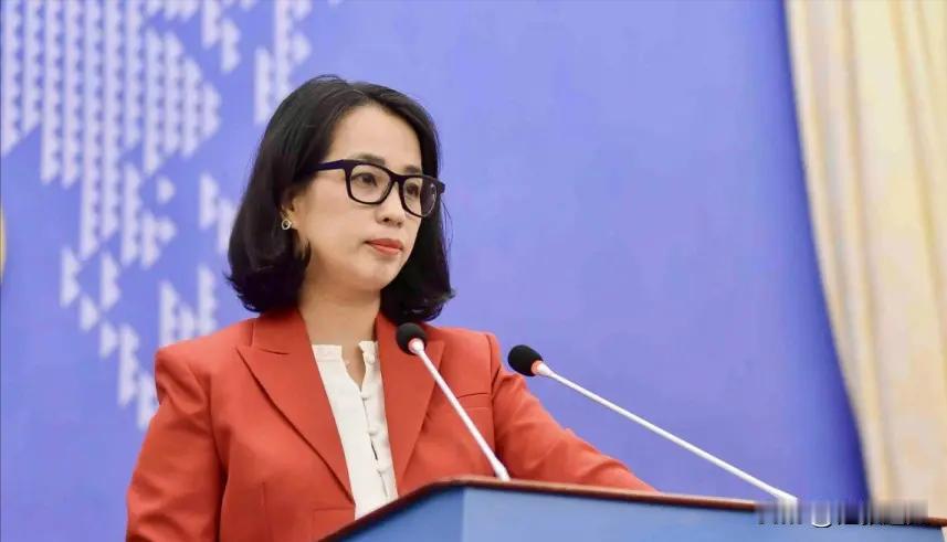 越南高层现在估计心里直发慌。

他怎么也想不到，7月12号美菲等14国刚把南海仲
