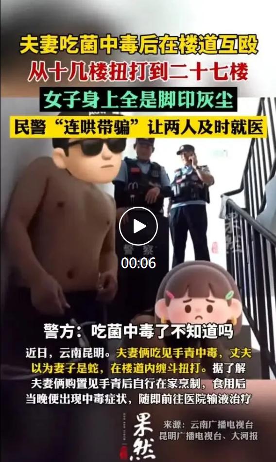 又到云南野生菌集中上市的季节，每年都少不了误食菌子出现幻觉的奇葩事件。近日昆明就