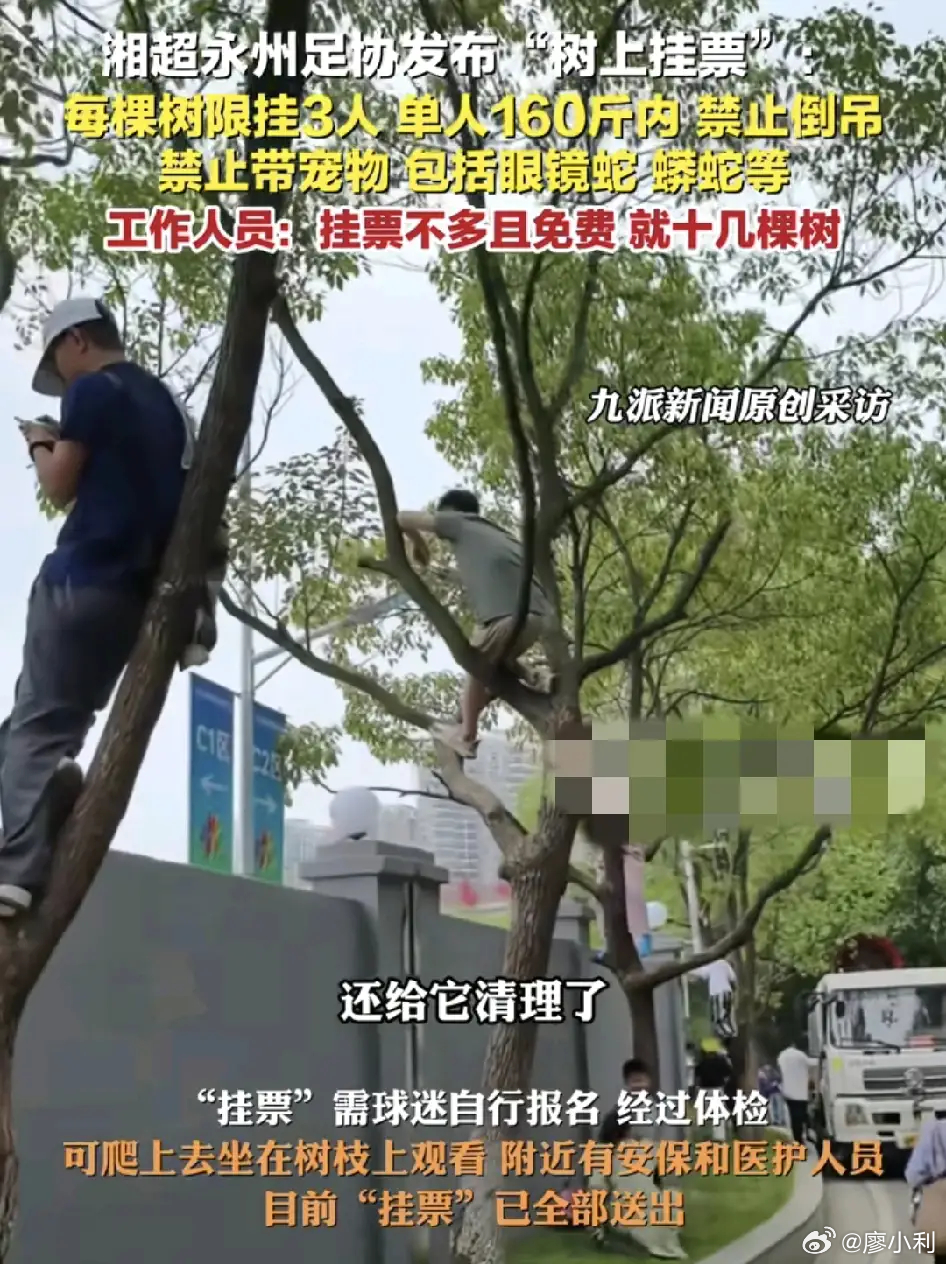 永州足协回应发布树上挂票永州挂票这创意确实很独特，挂票的设置丰富了景区的票务体系