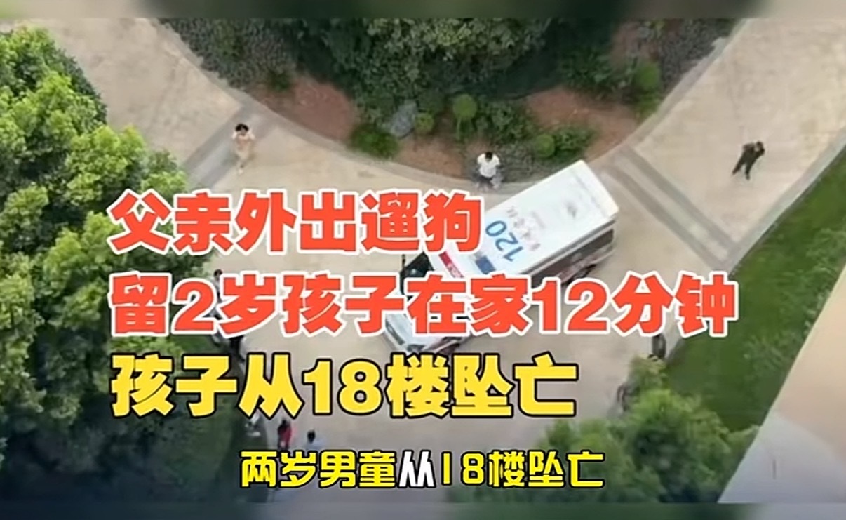 坠亡幼童父亲说不处理狗风评更差 整件事的核心矛盾，难道是在于这条狗本身吗？不关心