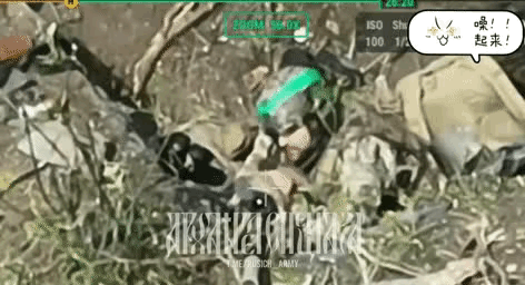在无人机面前，再厉害的狙击手都是炮灰！

乌军一名狙击手埋伏在农田里，拿着欧美高