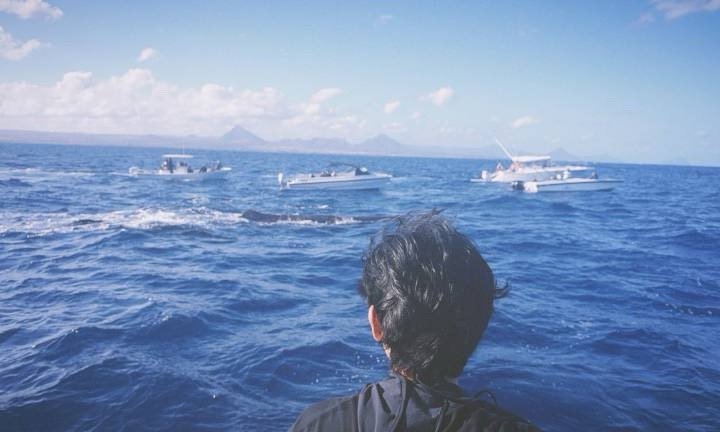 🔔12.30日 新打卡   我们集中助力五位包妹，获得更多票数。打开🔗（点立