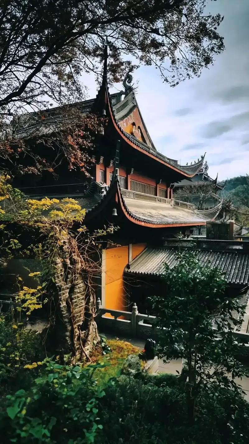 你能想象吗？杭州灵隐寺飞来峰景区里有个面积才8.5平方米的小卖部，居然年租金26