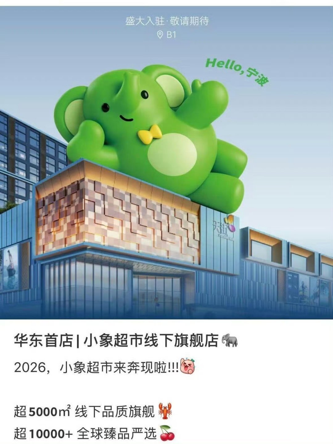 没了宜家来了小象超市华东首店确定在宁波 卧卧卧…美团小象超市华东首店🤩选址宁波