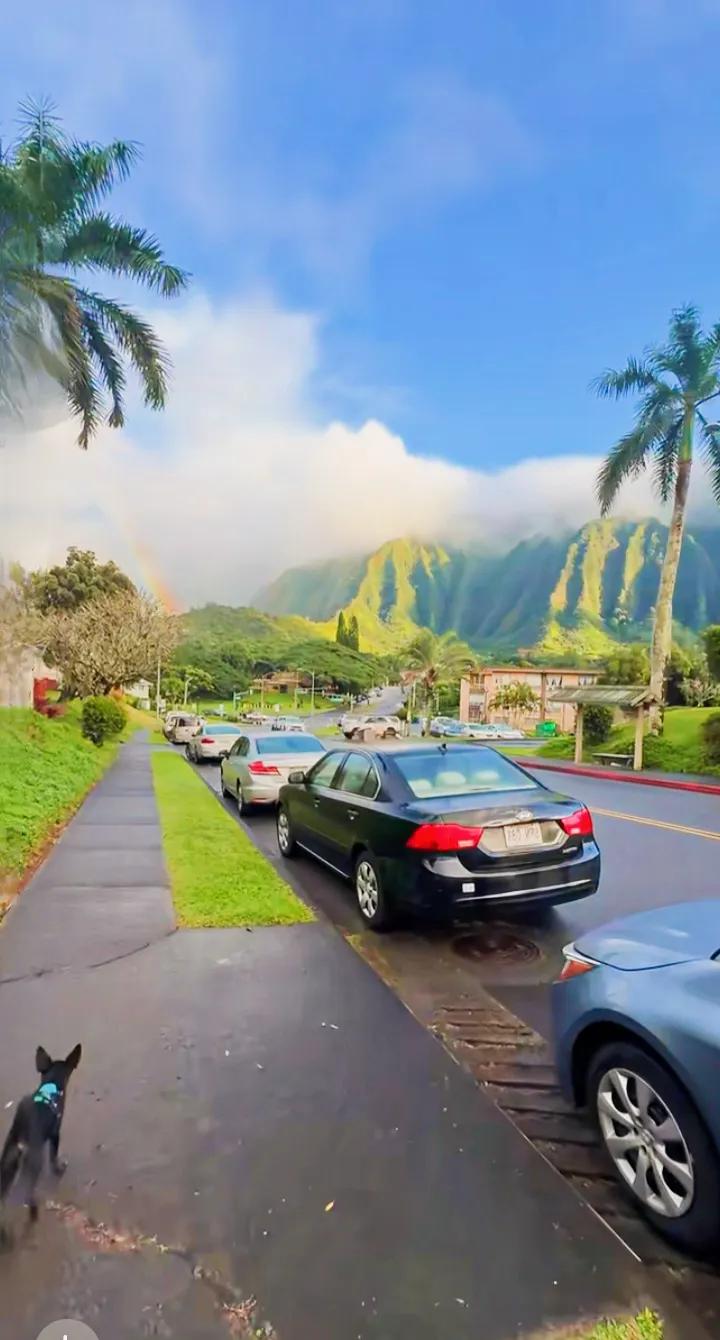 夏威夷的风景简直绝美！
那里有各种类型的海滩，比如大岛的哈普那海滩，洁白的沙子和