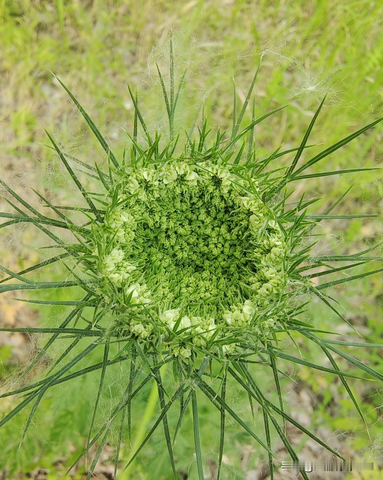 人人都富不可能
再富总有富和穷
富的都有几千万
几百万算穷光蛋
千万上亿是富翁