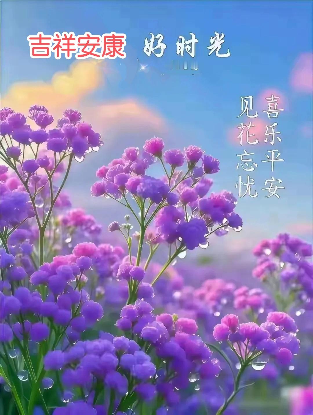 【健康养生🌼】1）夏季湿气较重，养生重在养心祛湿，建议保持规律作息，减少熬夜，