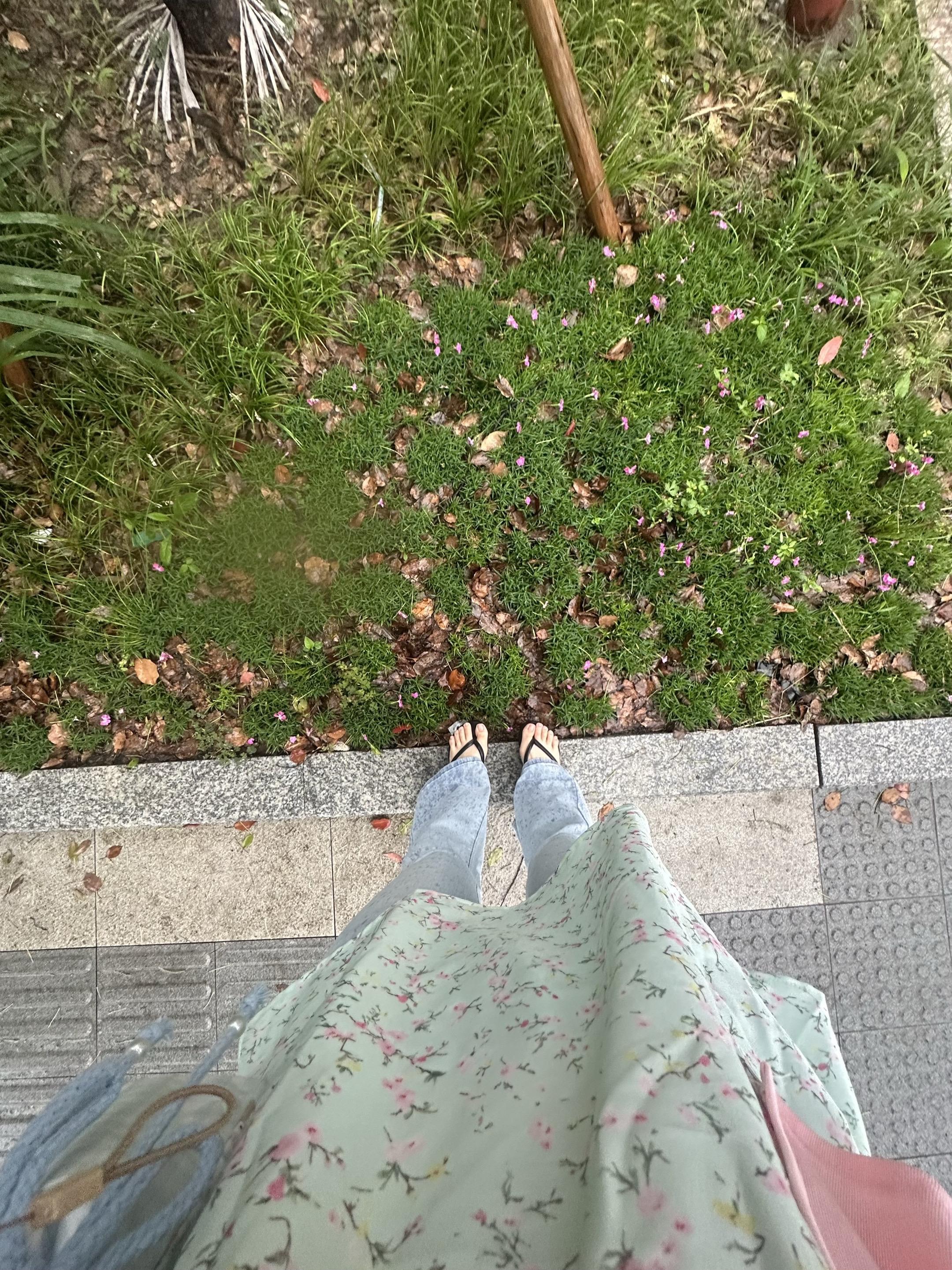 雨天 随手拍 夏天