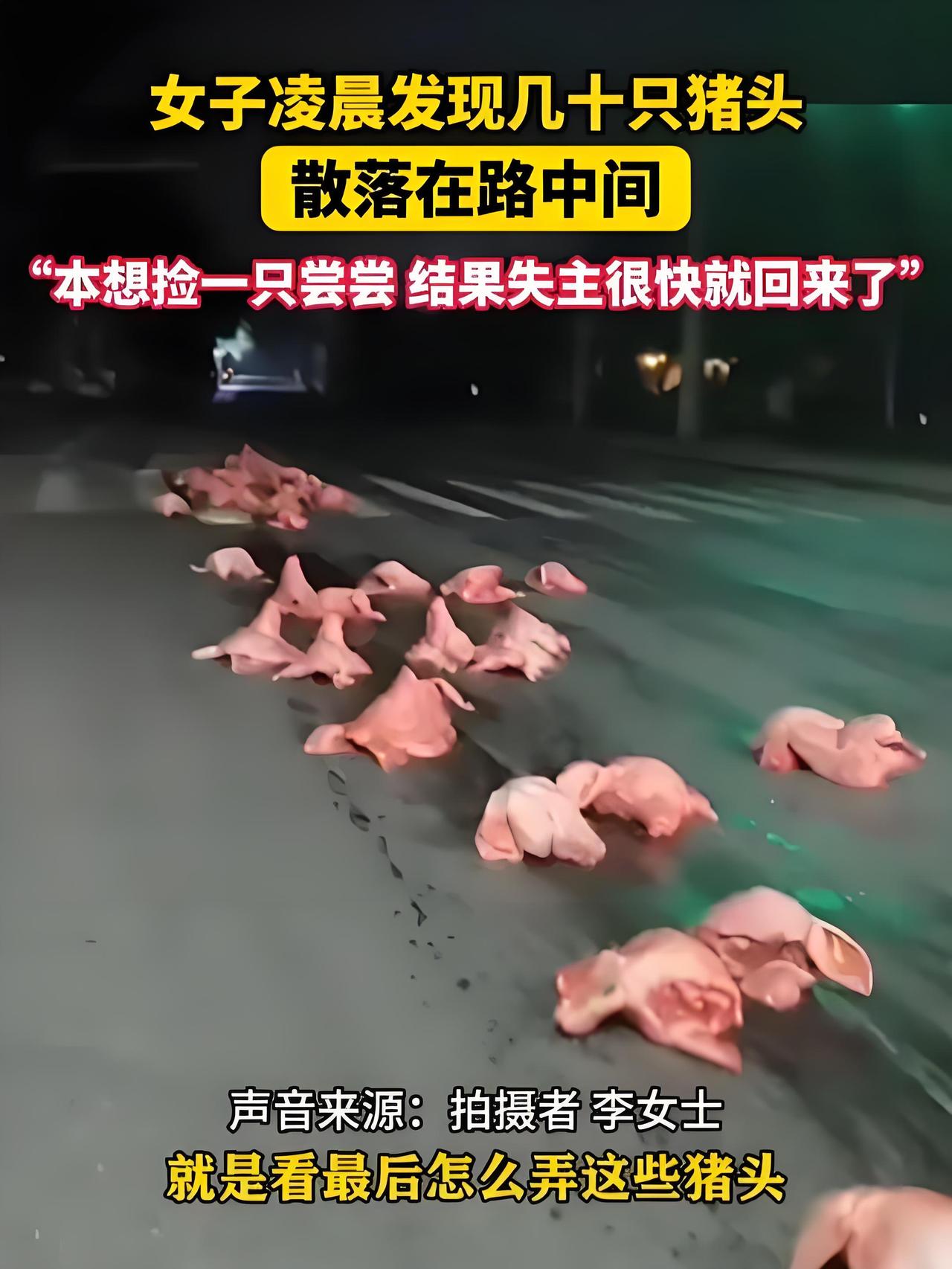 开车路遇 