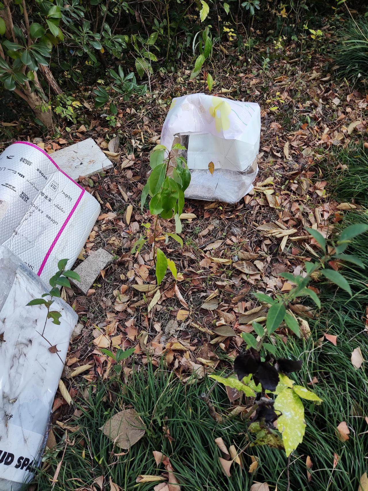 今早起来一看，猫窝又被踩烂，水碗也被扔了。
我始终想不明白，猫猫如此可爱，又不会