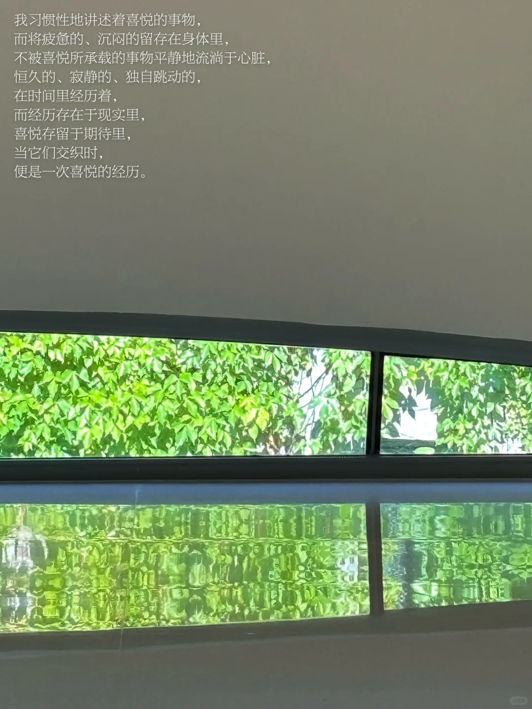 我习惯性讲述喜悦的事物，在承载情绪中失重