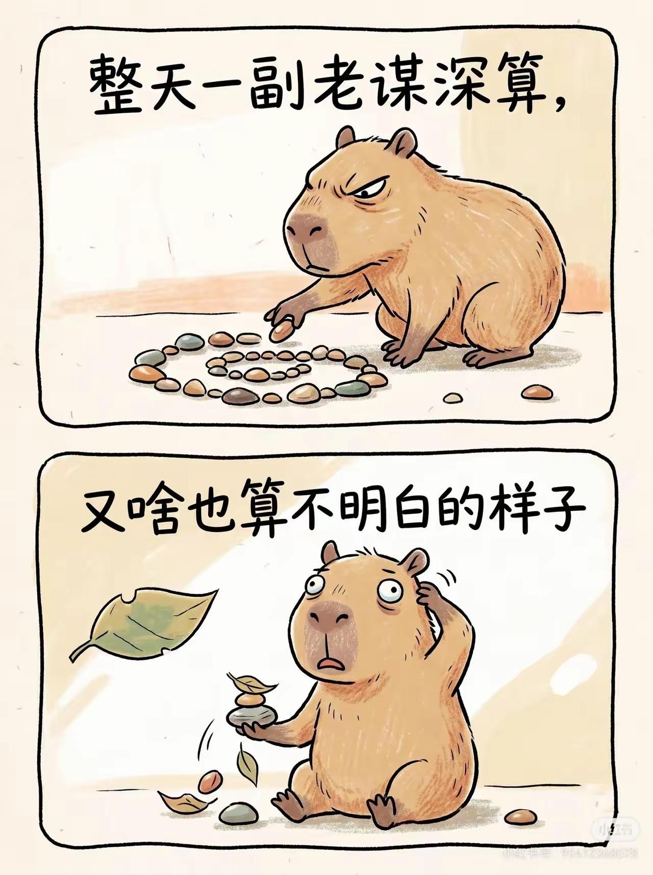 几乎是每天夜间二点多准时醒来，醒来立刻睡意全无，睁眼能连续不困到五点来钟，早上五