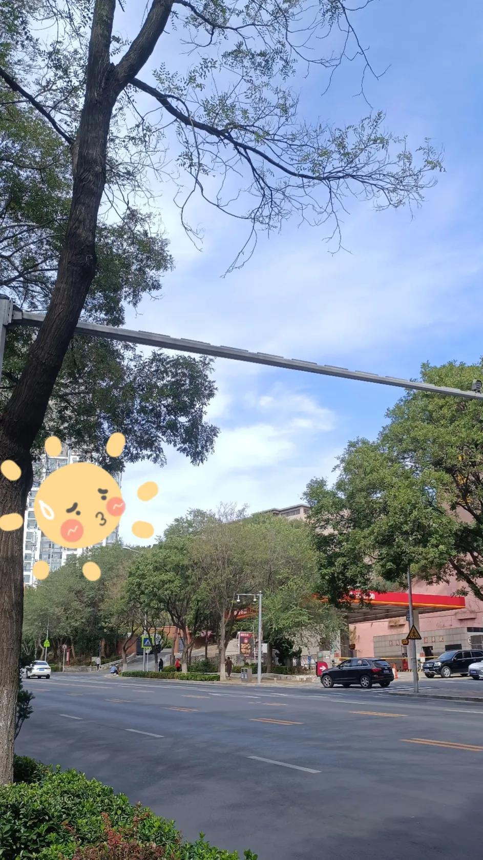 #秋日生活打卡季#
已经一年多没在平常的周三，中午来接娃了！预估不好时间，早到了