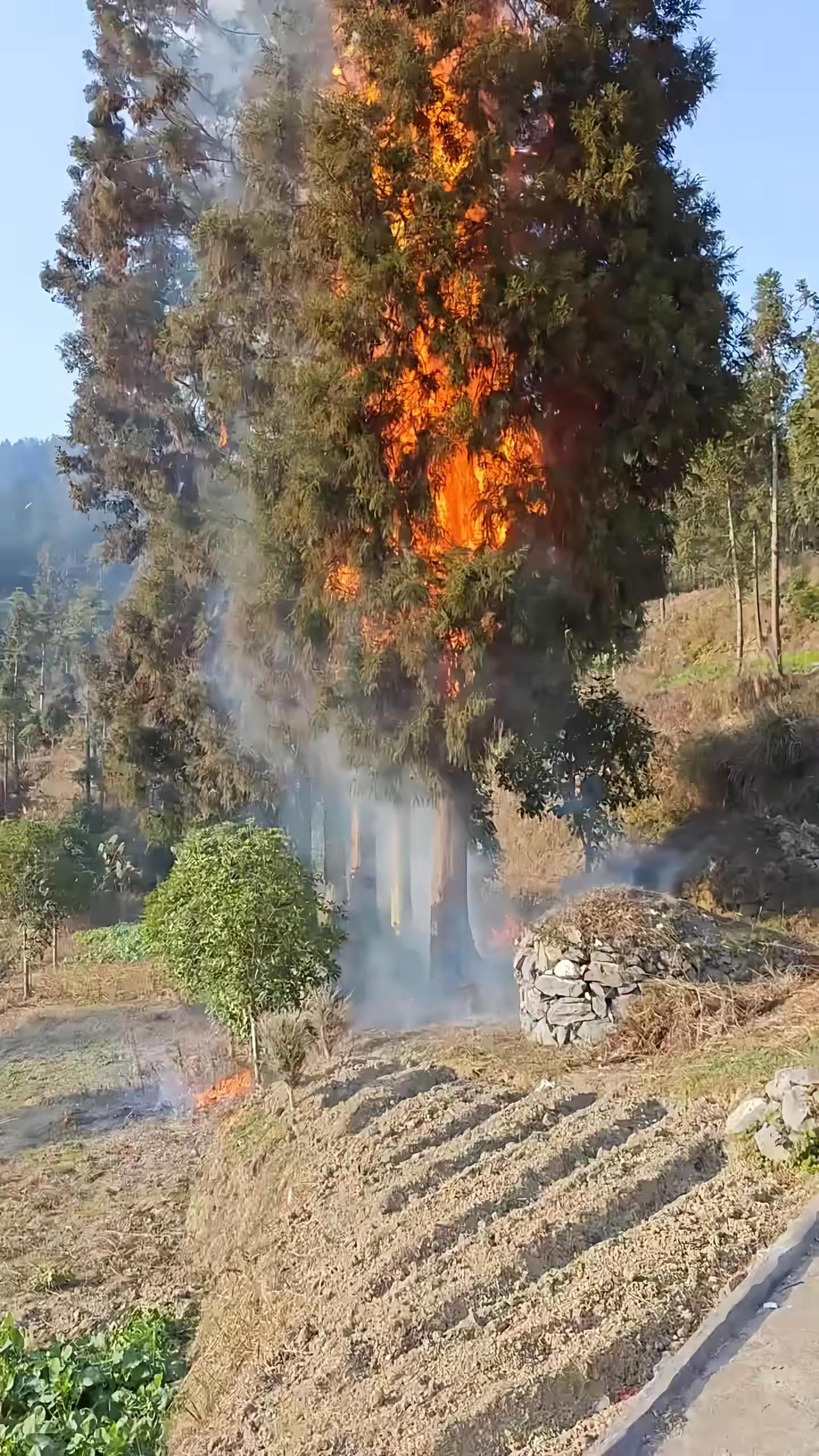 祭祖 扫墓 祭祖扫墓
