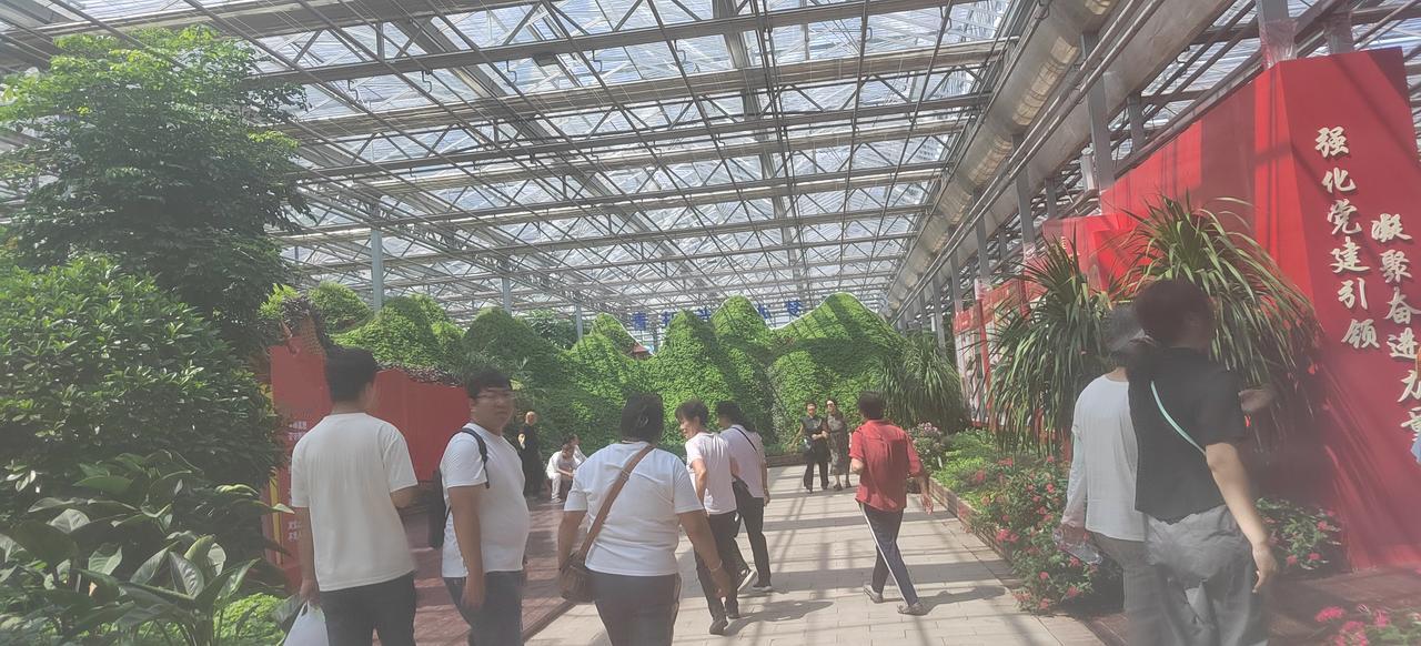 今天有人看到我说：宋老师，你可老多了，我都不敢看你了，你这几年到底经历了什么？怎