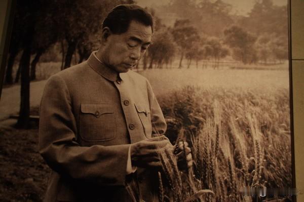🌺🙏敬爱的周总理，致敬您的善意长存，传承您的温暖初心！“善意存心底，温暖伴平