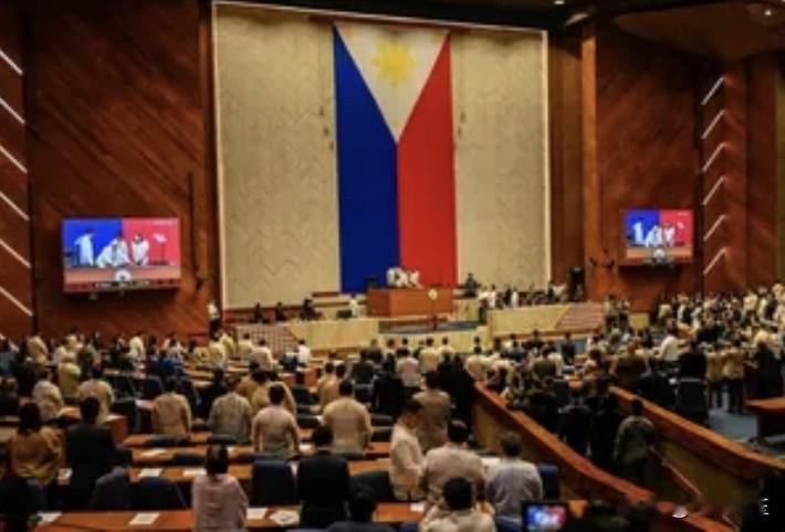 菲律宾众议员米凯拉·安吉拉·“米卡”·苏安辛于周日驳斥了八打雁省第一选区众议员莱