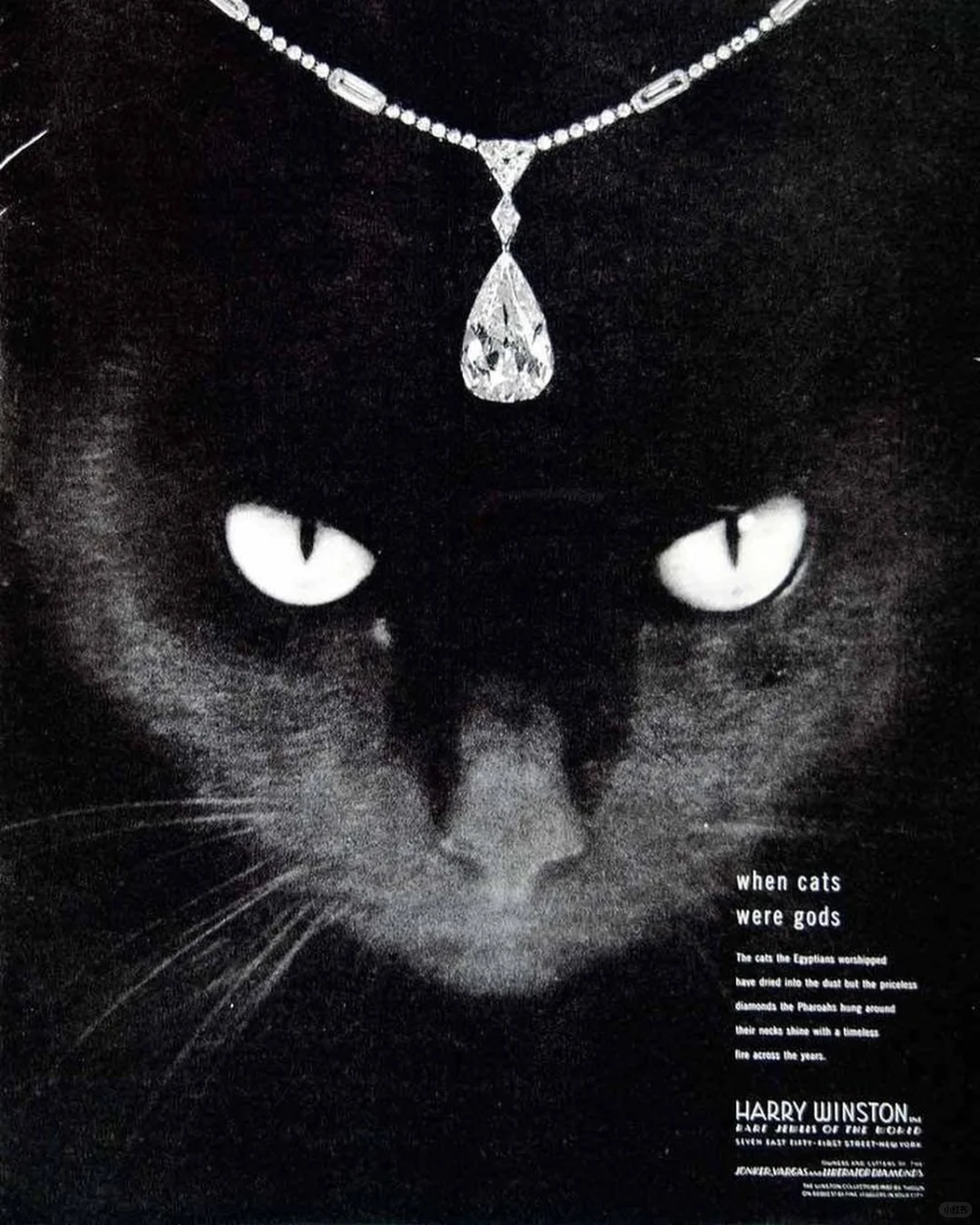 Harry Winston cat ads (1948 & 1962)