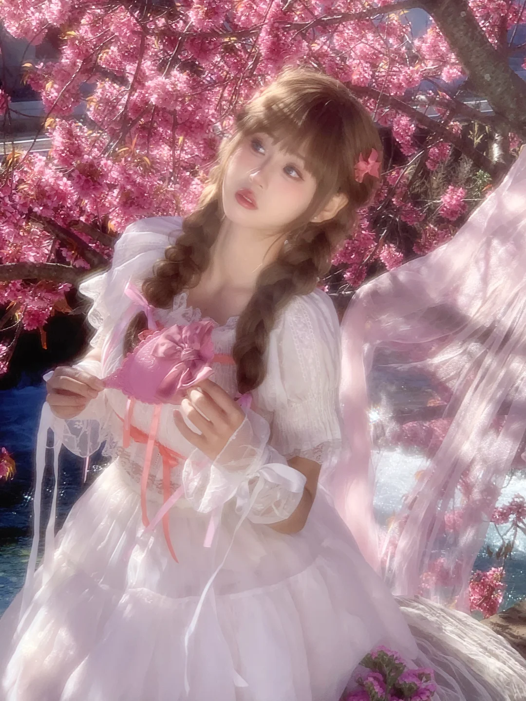 ₊⁺♡⊹. Sαƙυɾα Bҽαɾ ₊˚⊹