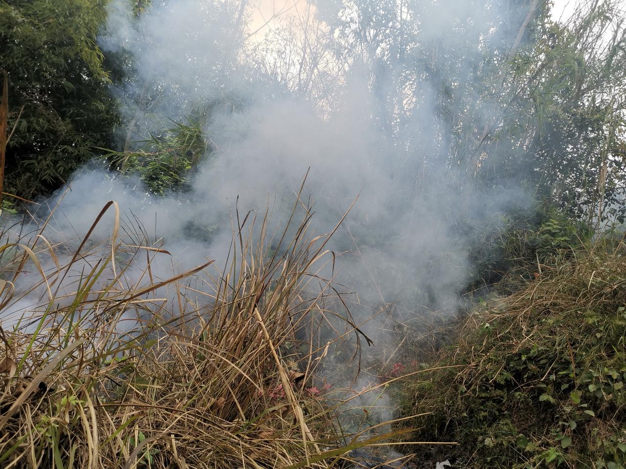 昨天儿子，侄子回内江老家上坟
在谈到油价从今天23日起，每升要涨1元多点，说回到