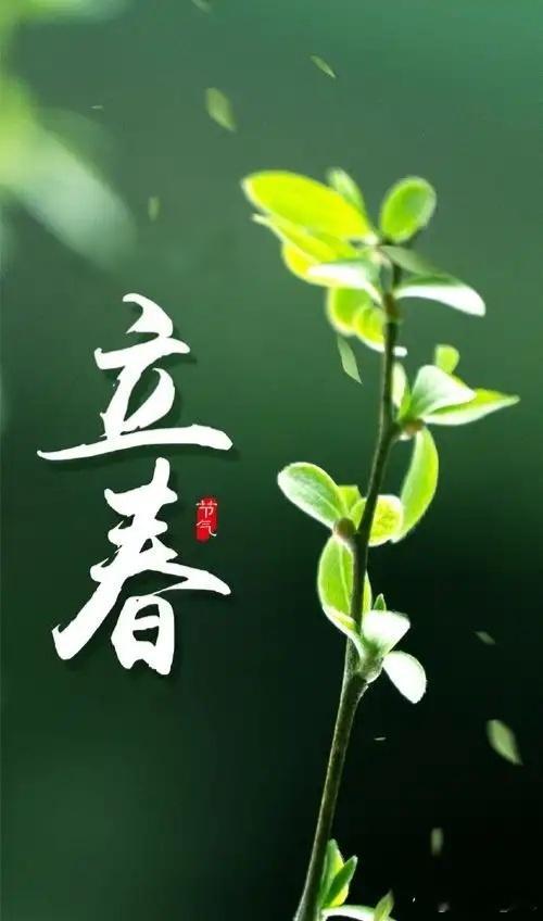 立春节气｜易理藏春，阳生万物新立春为二十四节气之首，是干支历岁首，太阳达黄经31