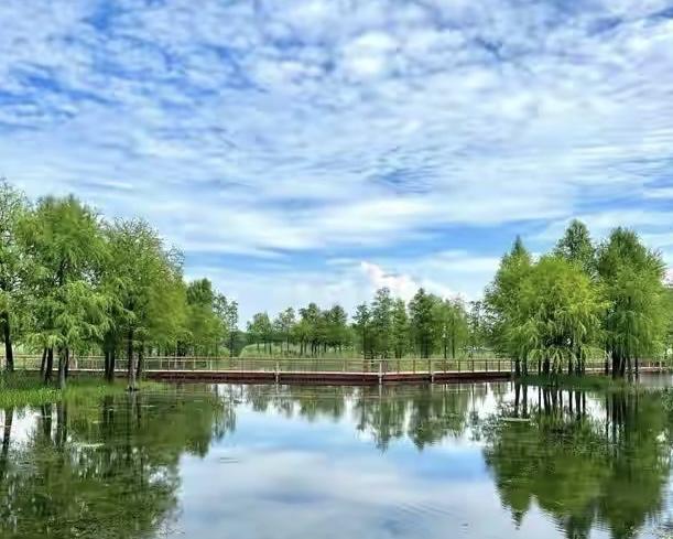 就凭这样的高价搭车，绝对不是好人。
庆幸帅哥你心明眼亮，没有贪财之心，躲过了一劫