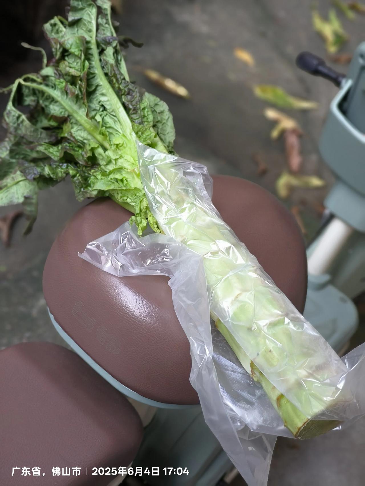 猜猜看，这么大一条莴笋，在你那儿的超市，最低要多少钱？
我告诉你，今天这条莴笋，