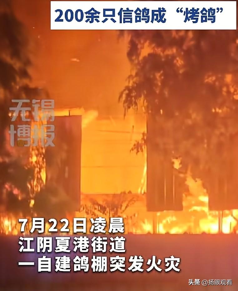 7月22日凌晨，无锡市江阴夏港街道一处自建鸽棚因为一盘蚊香燃起大火，消防员忙活半