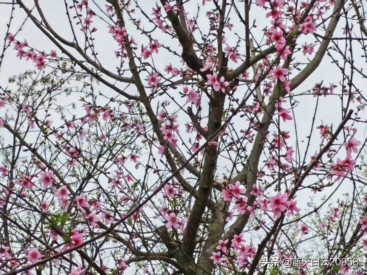 迷上清洁工，我以前是做财务的，去年失业后找工作都被拒之门外，嫌年龄大了，要求45