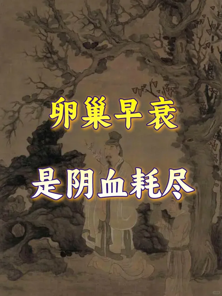 卵巢早衰，是阴血耗尽❗