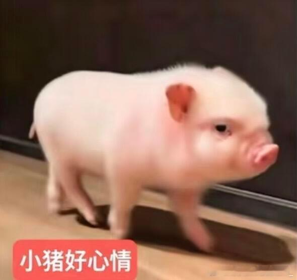 壶关们起床没 
