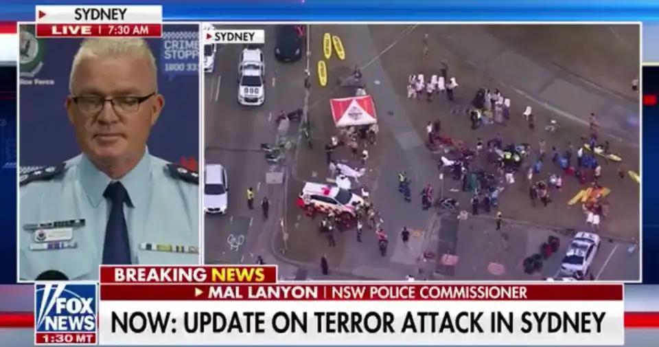 突发新闻：澳大利亚官员已证实，悉尼邦迪海滩反犹太袭击事件的肇事者是一对父子，分别