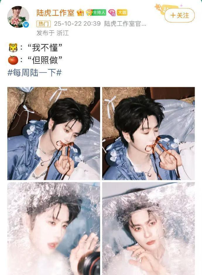 陆虎你是不是对浪漫过敏陆虎 就挡个颈纹丝还沉醉在陆虎造型勾勒的浪漫绮梦里，满心都