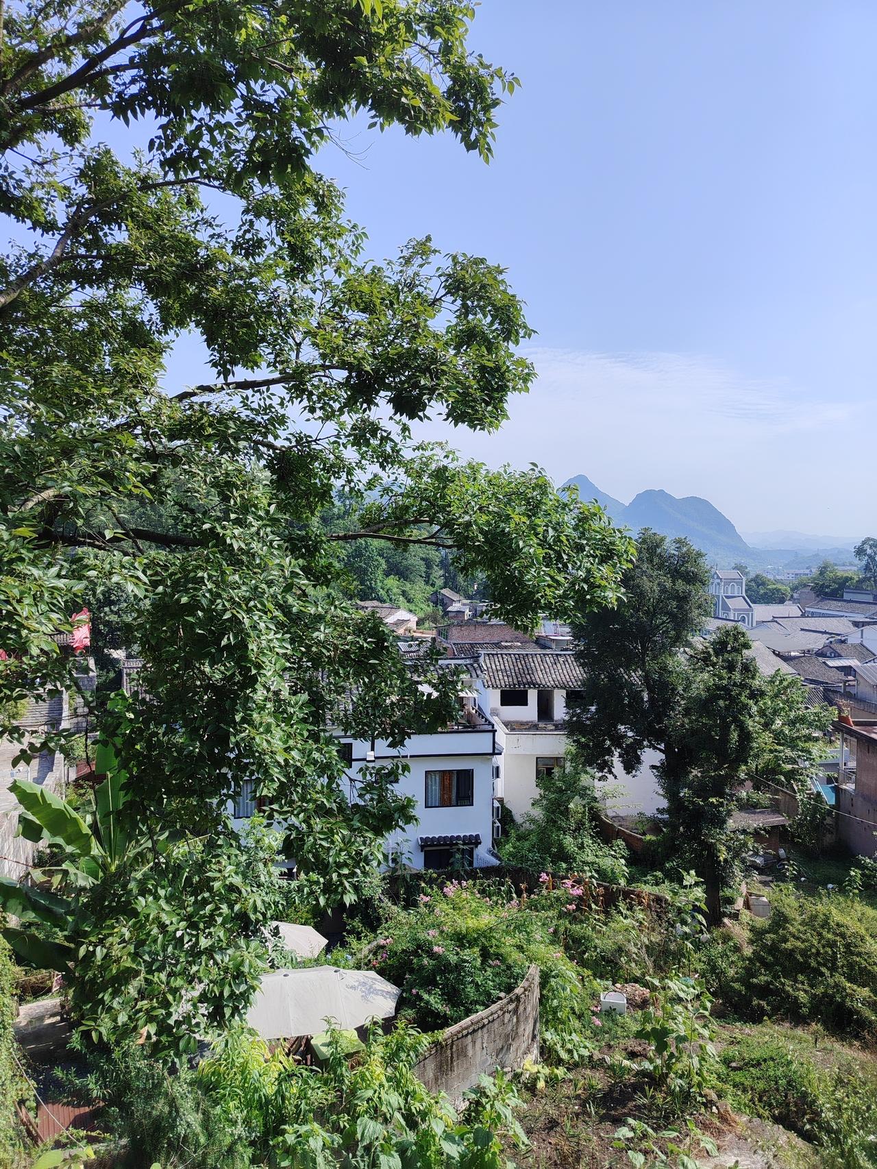 夏日生活打卡季别让焦虑的进度条，打乱了你人生的时区。在瞬息万变的时代里，愿你保持