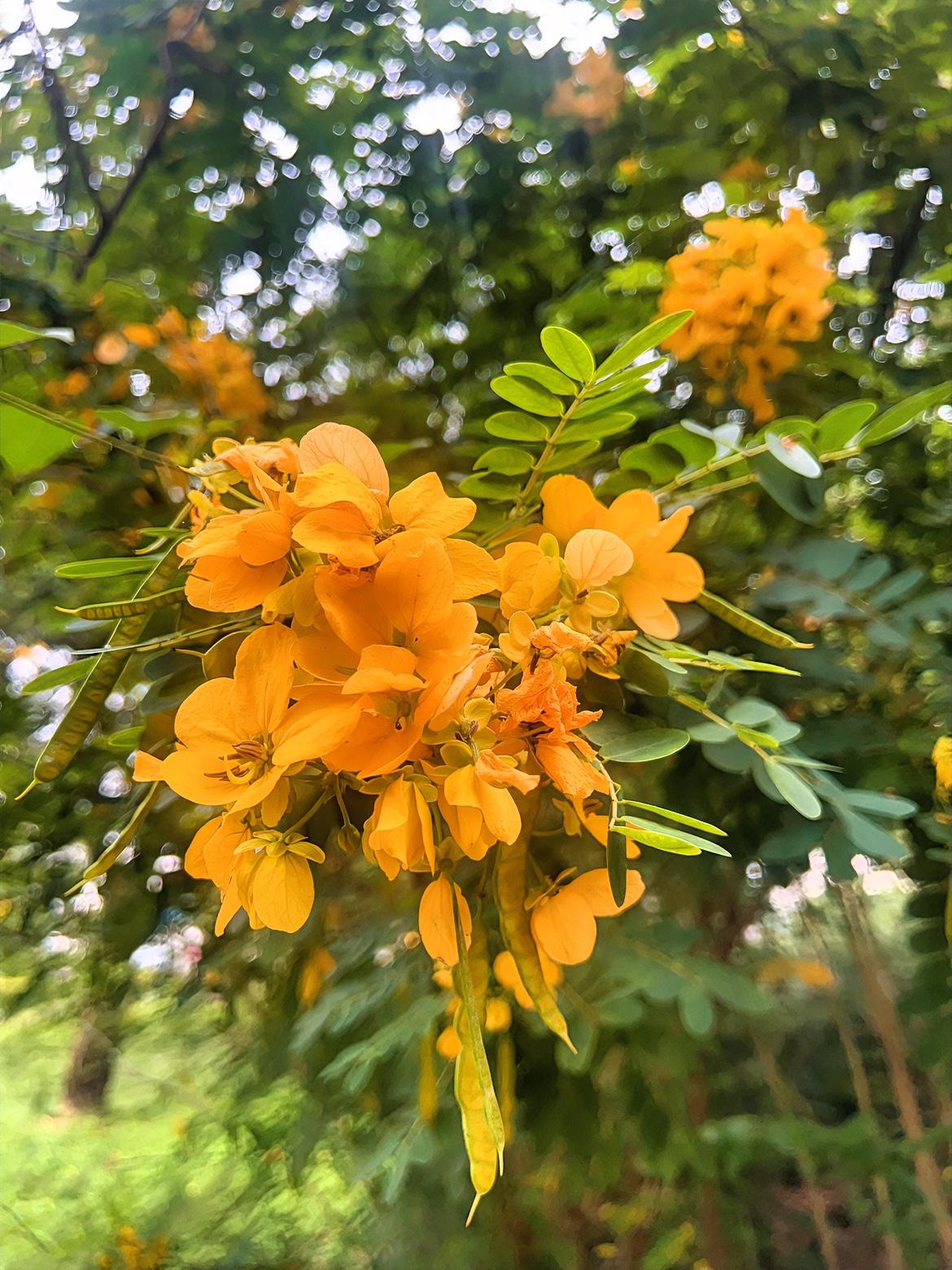 有个亲戚做生意赚了钱
却差点被“好哥们”拖进深渊打牌‮从，他约繁频人些那

到饭