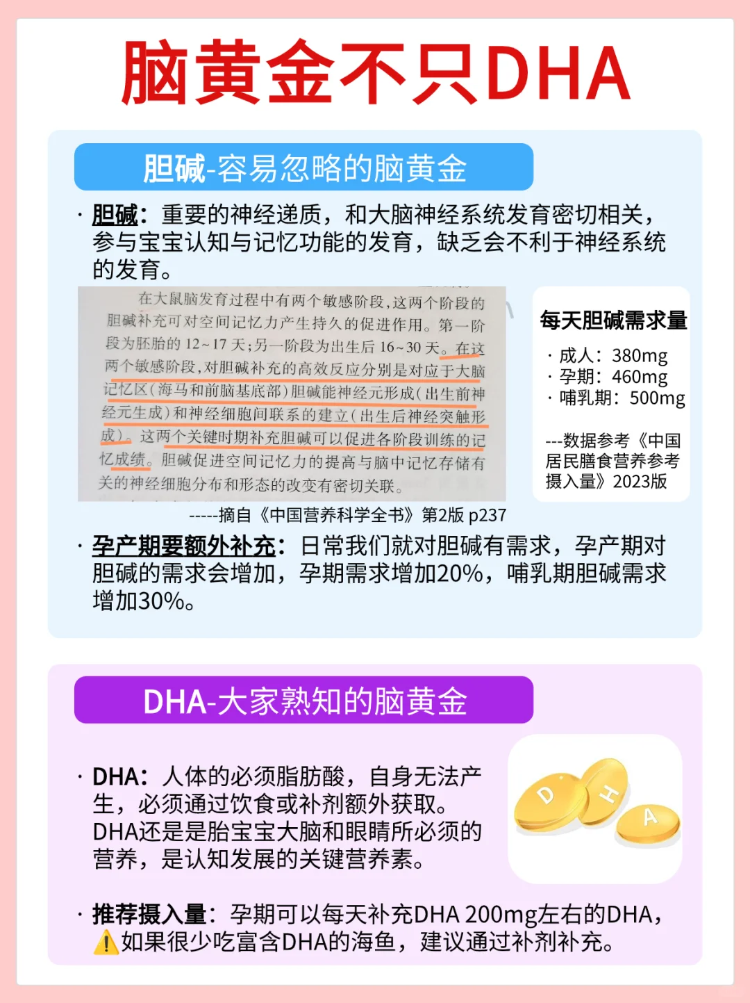 跟着膳食指南补营养！孕中晚期一定要补胆碱