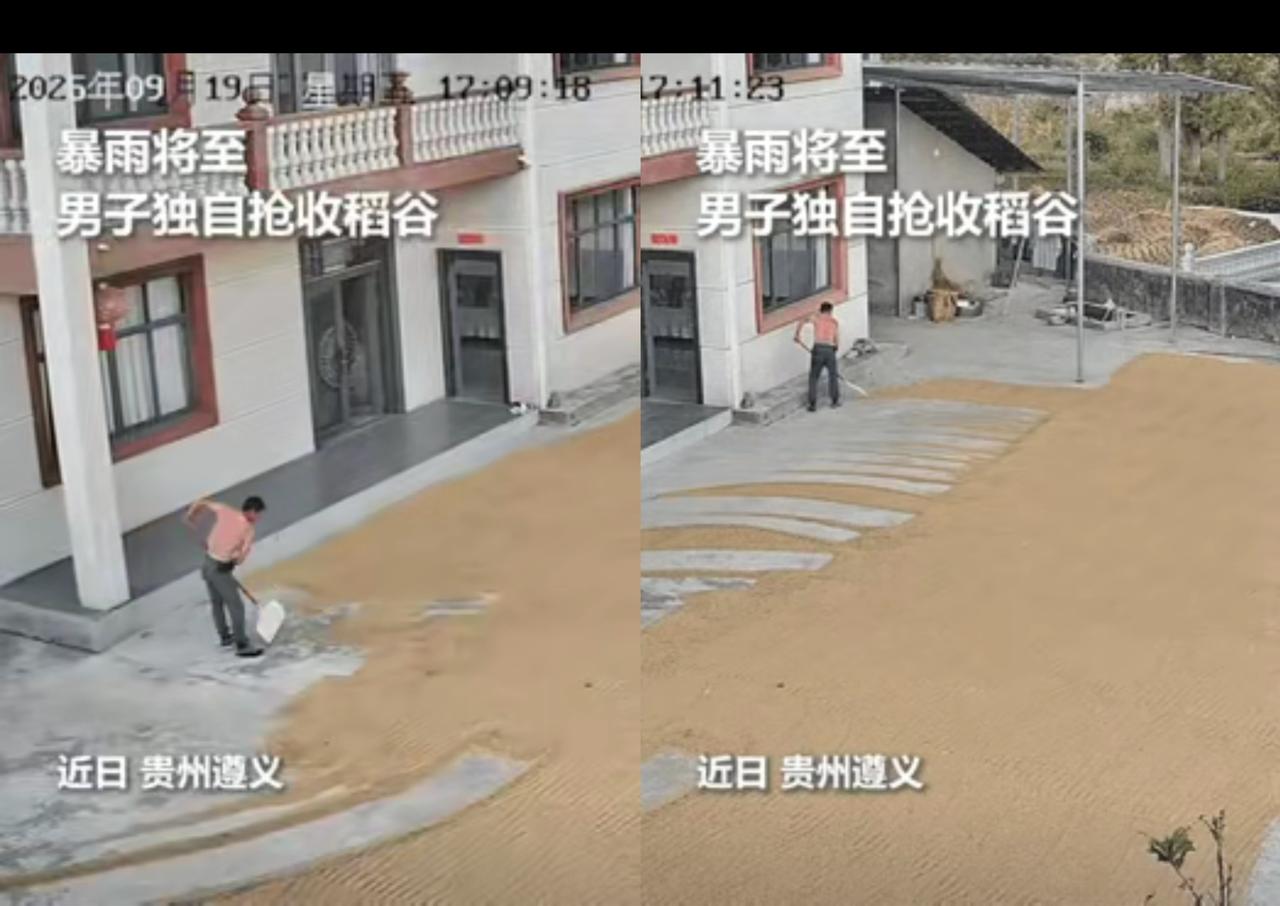上人民日报了！”
暴雨将至，女子关心家里晾晒的粮食，
就打开监控查看，

不看不